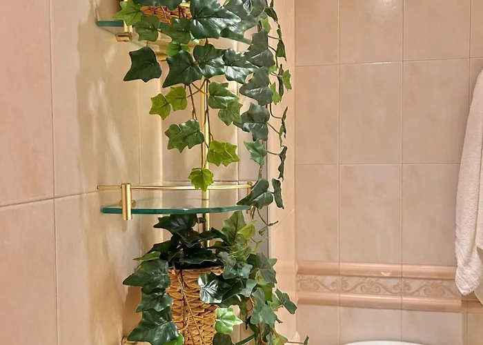 Impresionante Puente De Parking